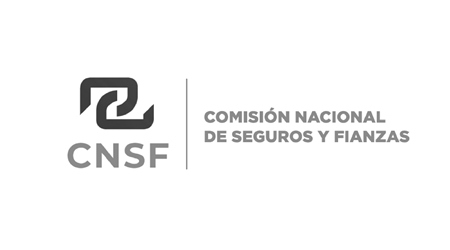 Logo Comisión Nacional de Seguros y Fianzas