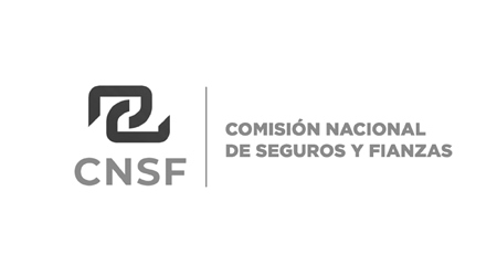 Logo Comisión Nacional de Seguros y Fianzas Logo Comisión Nacional de Seguros y Fianzas