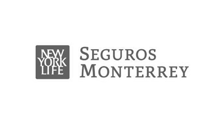 Logo Seguros Monterrey Logo Seguros Monterrey